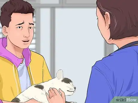 Image titled Give First Aid to an Electrocuted Animal Step 7