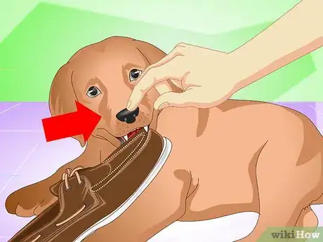 Image titled Discipline a New Puppy Step 9