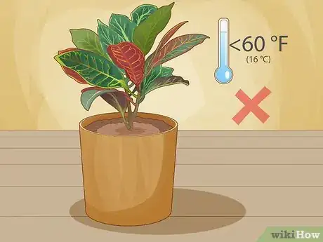 Image titled Care for a Croton Petra Step 8