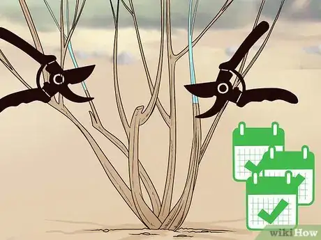 Image titled Prune Vines Step 7