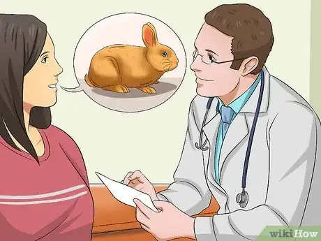 Image titled Care for Sussex Rabbits Step 18