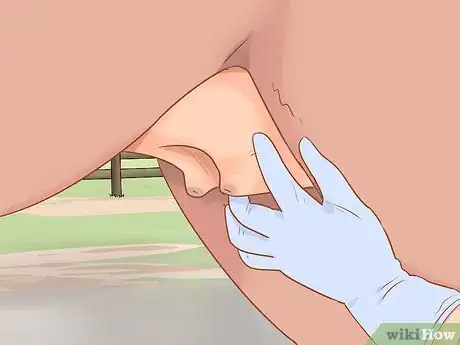 Image titled Wean a Foal Step 19