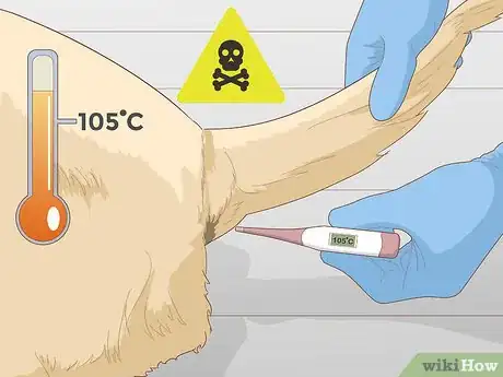 Image titled Keep a Dog Cool in Hot Weather Step 11