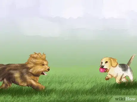 Image titled Keep a Puppy Out of Trouble Step 5