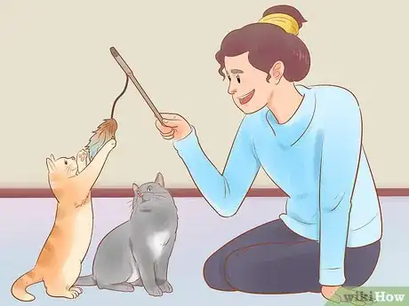 Image titled Take Action Photos of a Cat Step 17