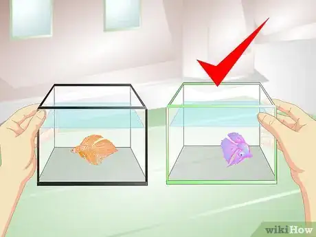 Image titled Provide a Protective Breeding Environment for Betta Fish Step 5