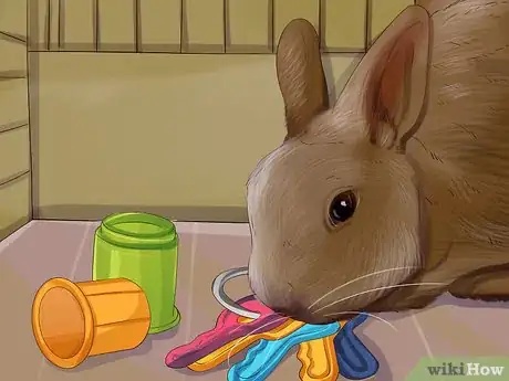Image titled Choose Toys for Your Rabbit Step 3