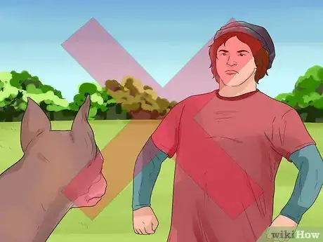 Image titled Show Your Dog Where He Is in the Pack Step 10