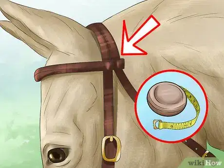 Image titled Choose a Bridle for Your Horse Step 6