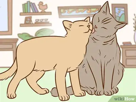 Image titled Referee Two Irritable Cats That Don't Get Along Step 8