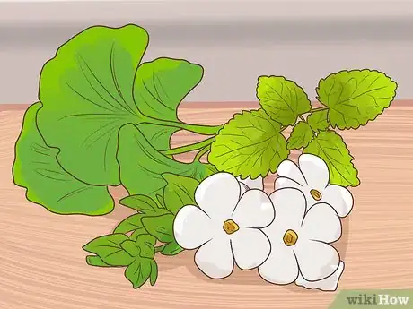 Image titled Support a Dog with Dementia Step 4