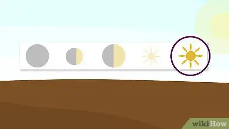 Image titled Plant Sedum Step 1