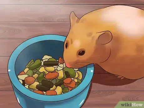 Image titled Care for Syrian Hamsters Step 9