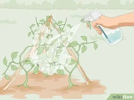 Image titled Kill Thrips Step 5