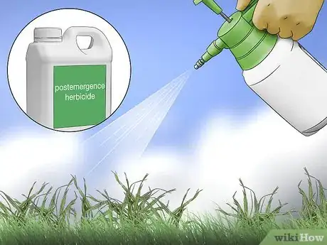 Image titled Get Rid of Crabgrass Step 9