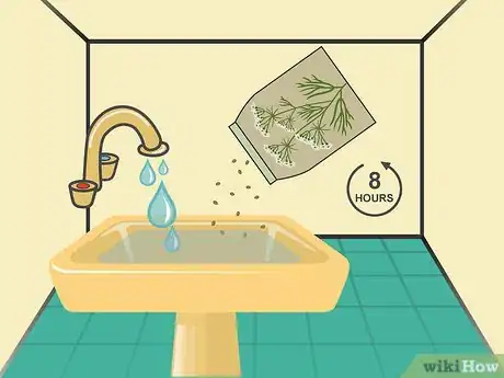 Image titled Grow Cumin Step 02