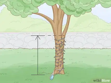 Image titled Decorate an Outdoor Tree Step 3