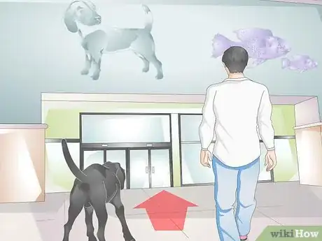 Image titled Find Durable Dog Toys Step 5