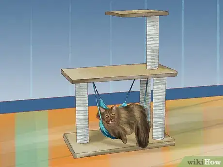 Image titled Choose a Kitty Condo Step 8