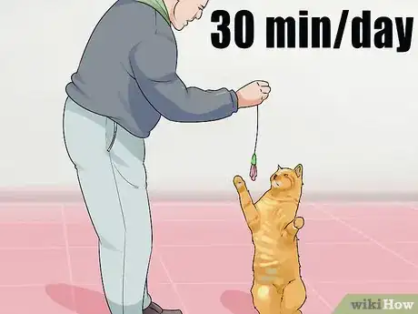 Image titled Keep an Old Cat Young at Heart Step 2