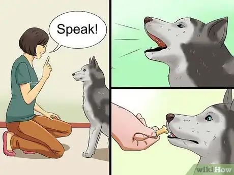 Image titled Teach Your Dog to Speak Step 7