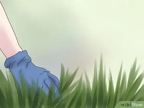 Image titled Install Paving Stones Step 3