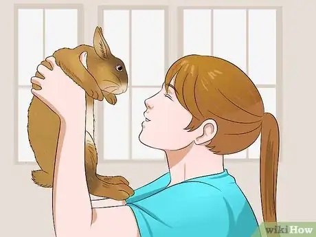 Image titled Care for Sussex Rabbits Step 11