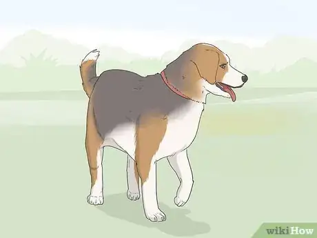 Image titled Train Seizure Alert Dogs Step 5