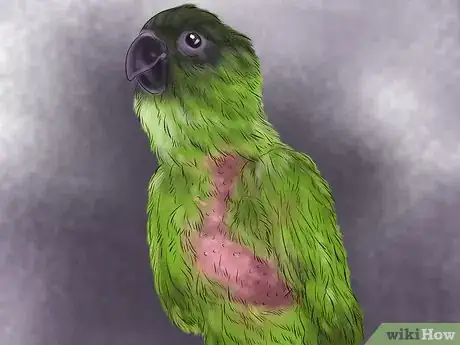 Image titled Treat Lovebird Pox Step 3