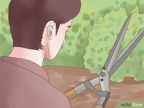 Image titled Prune Rosa Rugosa Step 6