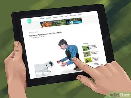 Image titled Keep Your Dog Away from Halloween Candy Step 10