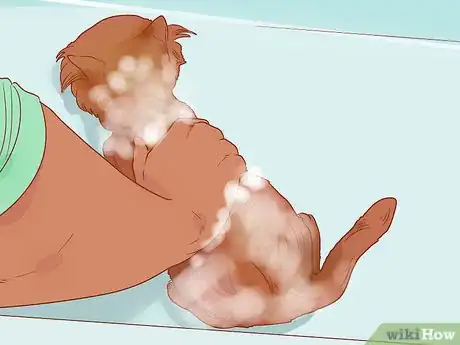 Image titled Keep Your Pets Happy Step 14