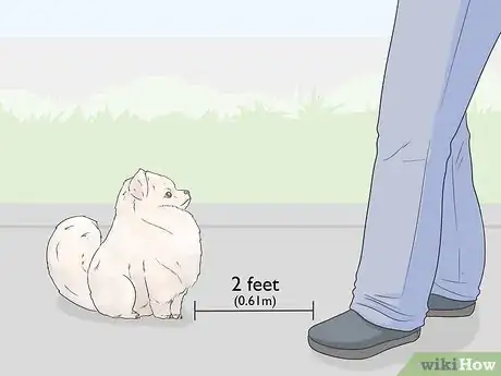 Image titled Teach a Dog to Bow Step 6