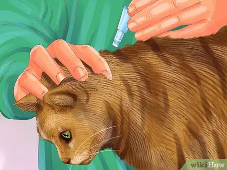 Image titled Choose a Heartworm Preventative for Your Cat Step 5