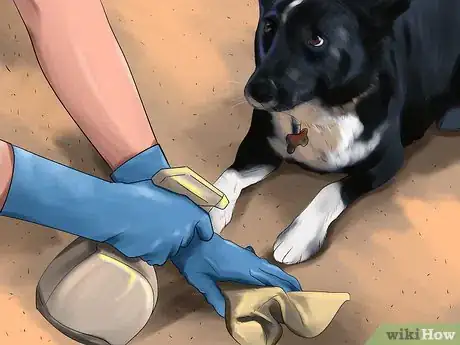Image titled Housebreak a Dog with Positive Reinforcement Step 16