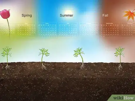 Image titled Buy Garden Seed Step 8