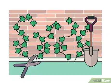 Image titled Get Rid of Ivy Step 12