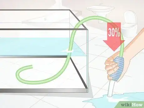 Image titled Take Care of Botia Fish Step 7