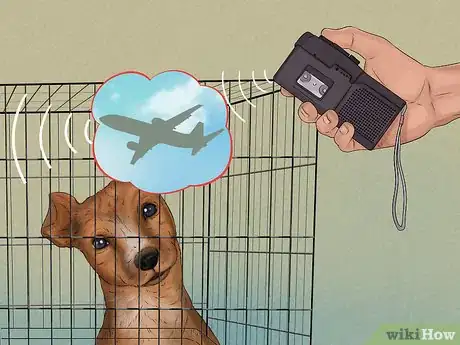 Image titled Prepare a Dog for Air Travel Step 4