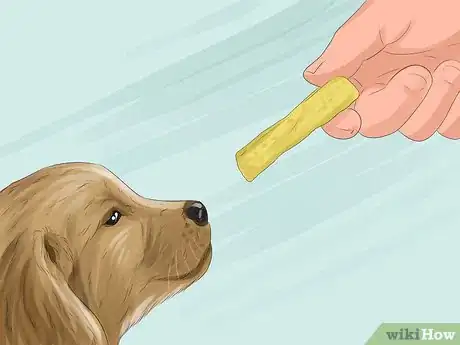 Image titled Have a Successful Visit to the Vet Step 13