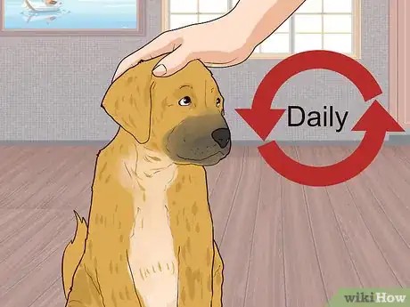 Image titled Socialize Orphaned Newborn Puppies Step 5