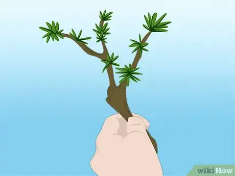 Image titled Propagate Azaleas Step 12