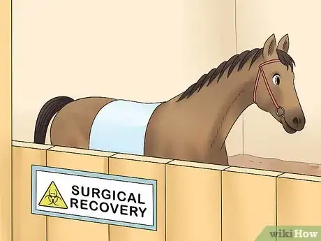 Image titled Handle Equine Wobblers Syndrome Step 13