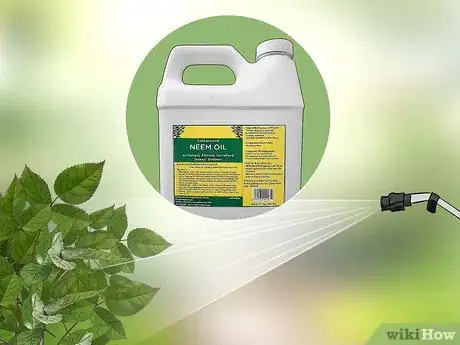 Image titled Get Rid of Japanese Beetles Step 4