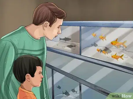 Image titled Buy a Fish for a Child Step 10