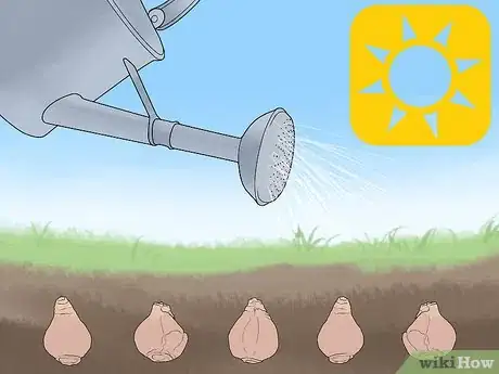 Image titled Plant Bulbs in Grass Step 20