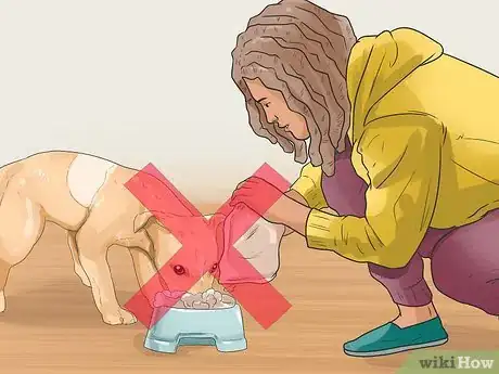 Image titled Show Your Dog Where He Is in the Pack Step 14