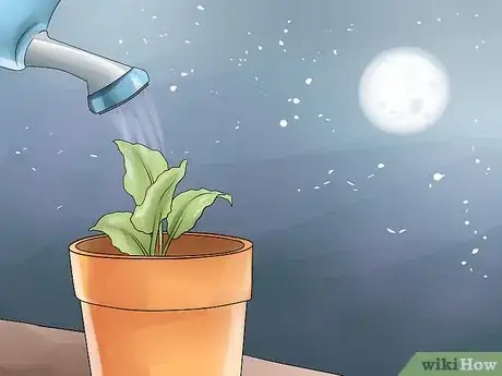 Image titled Choose the Best Time for Watering the Garden Step 3