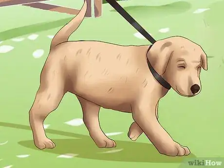 Image titled Get Your Puppy to Stop Biting Step 18