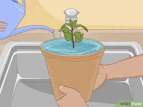 Image titled Plant Succulents Indoors Step 10